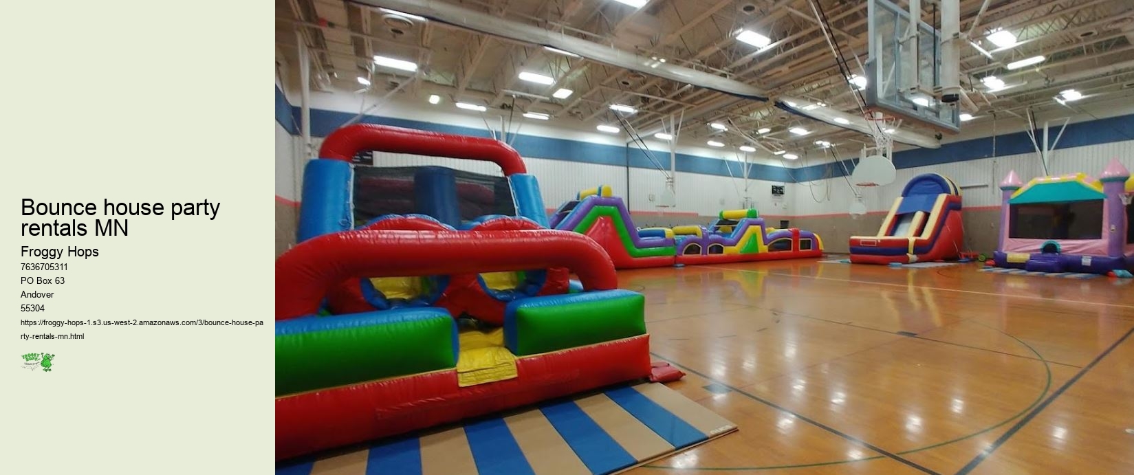 Bounce house party rentals MN